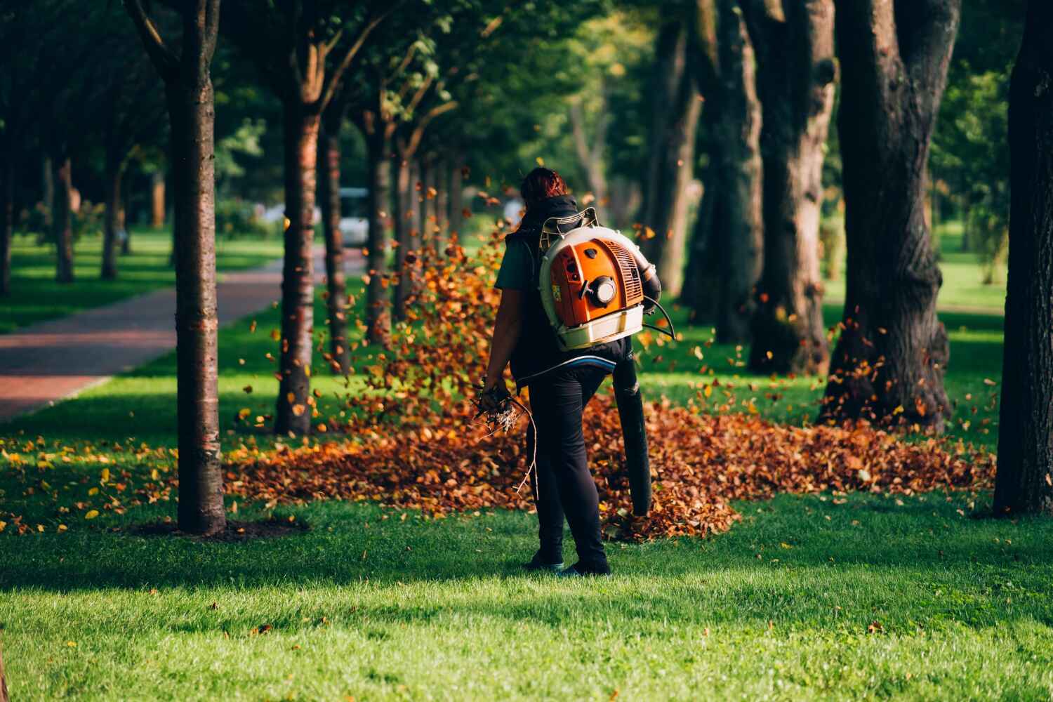 Best Tree Care Services  in Fort Myers, FL